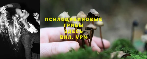 MDMA Premium VHQ Медногорск