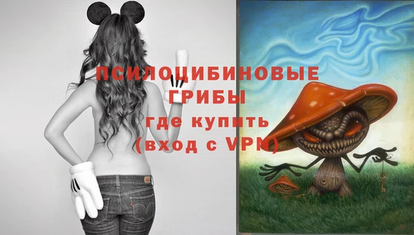 MDMA Premium VHQ Медногорск