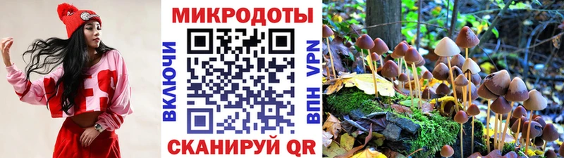 Галлюциногенные грибы мухоморы  Казань 